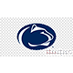psu